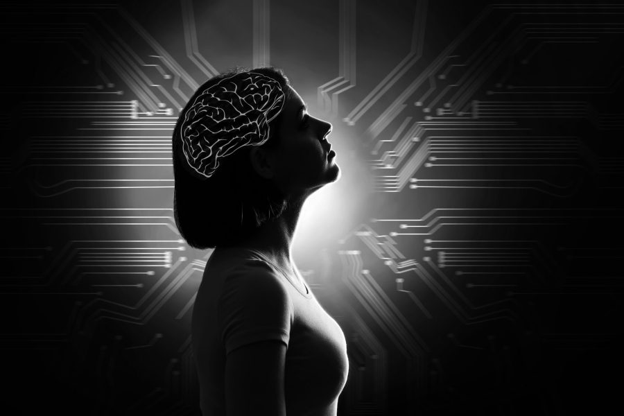 le cerveau humain